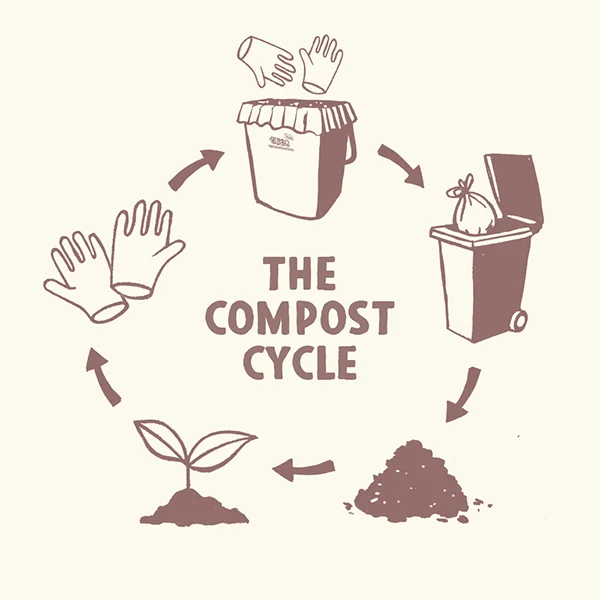 Compostable Poly Gloves Eco-Friendly Food Safe-01